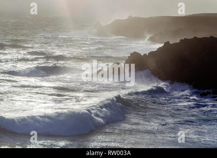 Sennen, Cornwall, Regno Unito. Il 3° marzo 2019. Gale force venti e 20ft di onde alte ancorare le scogliere di granito della Cornovaglia. Ponticelli audaci ottenere catturati da alcune enormi ondate di subissare la pier. Credito: Mike Newman/Alamy Live News. Foto Stock