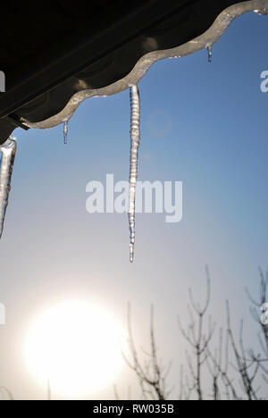 Ghiaccioli sospesi dal tetto sotto i raggi del sole contro il blu cielo chiaro Foto Stock