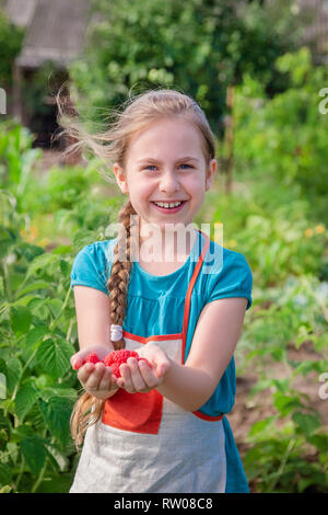 I bambini la raccolta dei lamponi. Un simpatico bambina raccoglie frutta fresca su un organico di lampone farm. Bambini il giardinaggio e la raccolta di bacche. Il chi Foto Stock