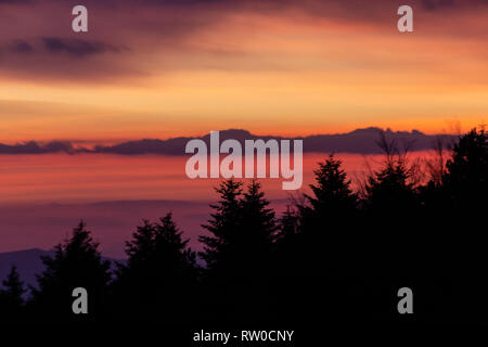 Alberi sagome contro un colore bellissimo cielo al tramonto, con montagne di strati in background Foto Stock