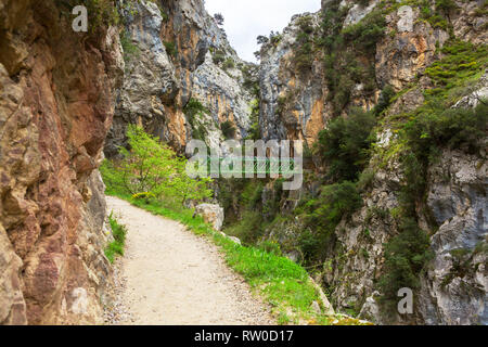 Sentiero escursionistico (Cares Trail o Ruta del Cares) lungo il fiume si prende cura in nuvoloso giorno di primavera( vicino a Caino), il Parco Nazionale di Picos de Europa, provincia di Leon, Foto Stock