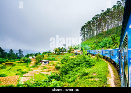 Treno vicino Ella, che corre attraverso i campi di tè. Sri Lanka Foto Stock