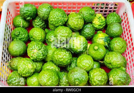 Kaffir Limes, Citrus Hystrix, Kuala Lumpur, Malesia. Foto Stock