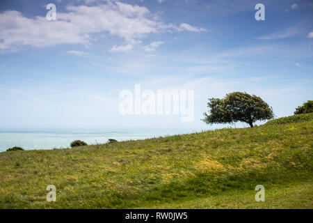 Beachy Head vicino a Eastbourne Inghilterra Foto Stock