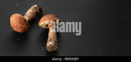 Vista del piano portapaziente, due giovani scaber bolete levetta (Leccinum scabrum) funghi sulla lavagna nera, Banner con spazio per il testo a destra. Foto Stock