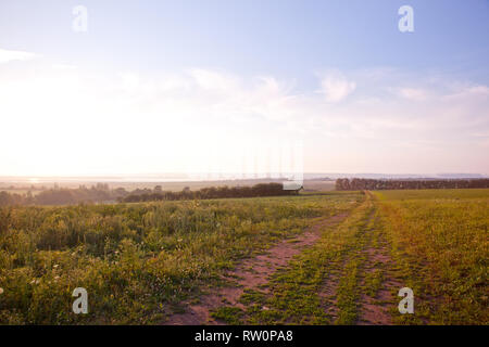 Un percorso di sporcizia o la strada conduce attraverso un bellissimo prato al tramonto, su una immagine perfetta serata Foto Stock