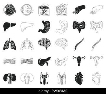 Anatomia,l'arte,Black,contorno,boold,cervello,raccolta,design,malattia,eyeball,carne,,gastrointestinale la salute,cuore,uomo,icona,immagine,,interno isolato,rene,fegato,logo,polmoni,maschio, la medicina, bocca,muscolo,organo,pancreas,,riproduttiva impostare,segno,pelle,colonna vertebrale,stomaco,il simbolo,sistema,tratto,utero,vettore,nave,web vettori vettore , Illustrazione Vettoriale