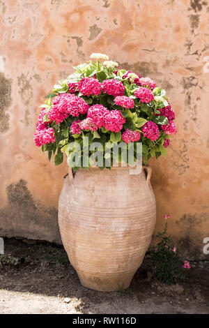 Giardino interno monastero di Arkadi, Creta, Grecia Foto Stock