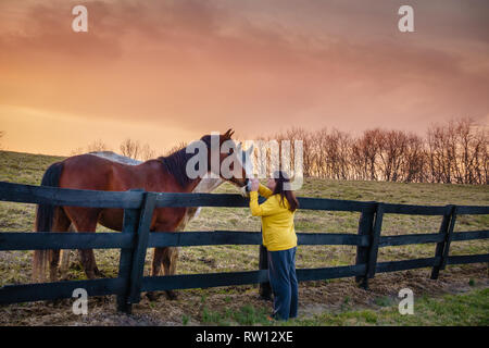 Giovane donna è come accarezzare i cavalli in una fattoria in Kentucky al tramonto Foto Stock