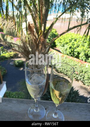 Scena romantica con close-up di due flauti riempito con champagne e di cubetti di ghiaccio con fronde di palme in background. Foto Stock