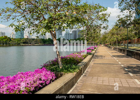 Svuotare parco pubblico marciapiede con fiori di giorno a Bangkok Foto Stock
