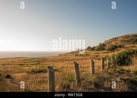 Bella highway drive da Healdsburg (Sonoma County) a Ft. Bragg, California sulla costa di Mendocino, in California, Stati Uniti d'America. Foto Stock