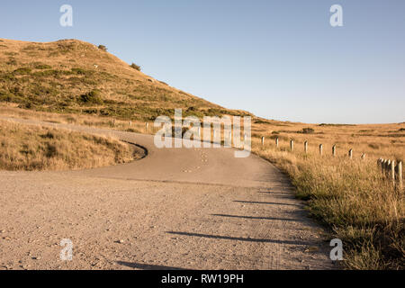 Bella highway drive da Healdsburg (Sonoma County) a Ft. Bragg, California sulla costa di Mendocino, in California, Stati Uniti d'America. Foto Stock