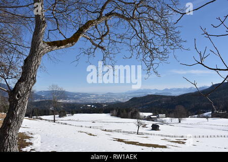 Kärnten Villach, Stadt, Panorama, Skyline, Stadt, Dobratsch, Wegkreuz, Holzkreuz, Baum, Wald, inverno, Schnee, Wiese, Weide, verschneit, kahl, AST, Äs Foto Stock