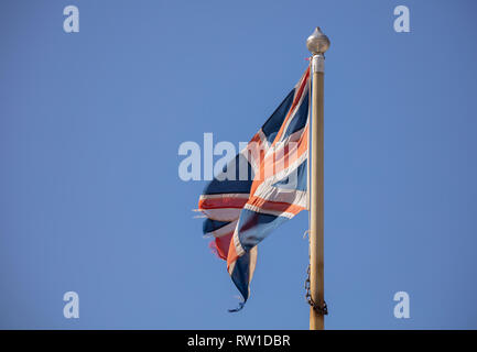 Una unione jack volare alto ma un po' strappato a Salcombe. Foto Stock