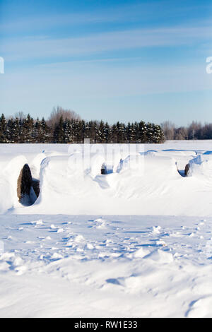 L'innevamento round balle di fieno in un campo del Wisconsin in verticale Foto Stock