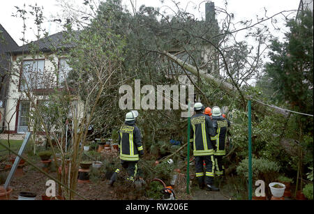 04 marzo 2019, della Renania settentrionale-Vestfalia, Düsseldorf: Vigili del fuoco sono in piedi di fronte ad un albero caduto a Düsseldorf. Tempesta bassa 'Bennett' è responsabile di numerosi vigili del fuoco operazioni in capitale dello stato e continua a causare problemi nelle principali roccaforti del carnevale di Düsseldorf e Colonia. Foto: David Giovani/dpa Foto Stock