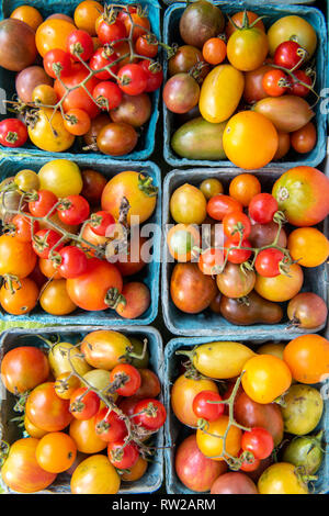 Elevato angolo di visione delle scatole di cartone piena di una varietã di pomodori (Solanum Lycopersicum) per la vendita al mercato degli agricoltori, Rehoboth Beach, Delaware Foto Stock