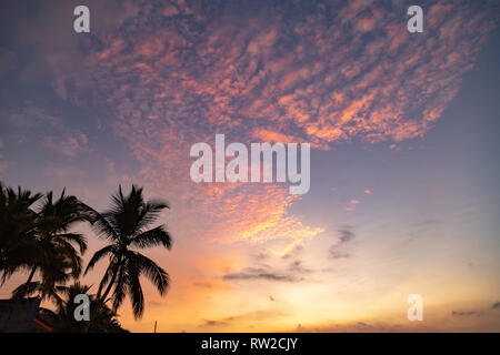 Tramonto spettacolare, con colori luminosi di colore arancione, rosa, blu, rosso, oro giallo e silhouette di palme Foto Stock