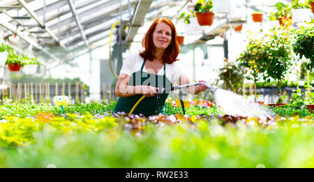 Ritratto di una allegra donna lavoratrice in un asilo - Serra con fiori colorati per la vendita Foto Stock