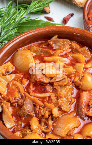 Trippe in pentola di creta. Vista dall'alto. Aspetto rustico. (Callos a la Madrileña). Foto Stock