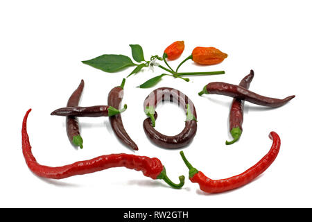 La parola Hot è scritto con peperoncino su sfondo bianco. Vista superiore del peperoncino lettere. Foto Stock