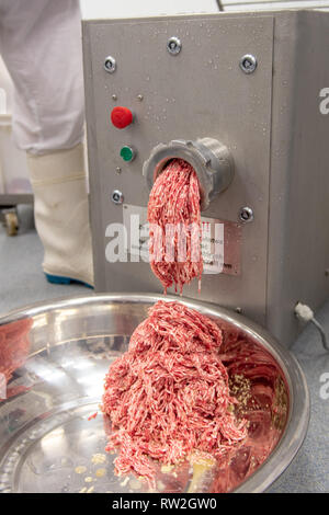 Le carni bovine sono macinati fino da industrial tritacarne e raccolta in un recipiente sottostante, di Radom, Masovian voivodato, Polonia Foto Stock