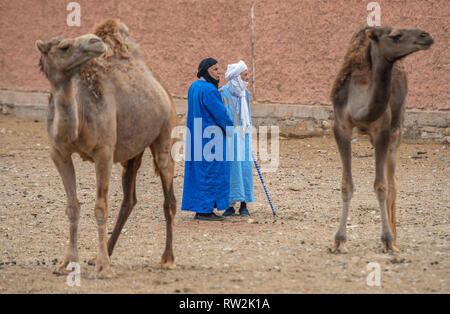 Due uomini osservare e baratto su cammelli (Camelus) in vendita presso la Guelmim mercato di cammelli, Guelmim, Guelmim provincia, Marocco. Foto Stock
