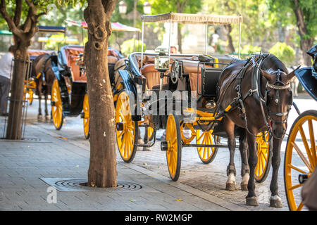 Carrozze trainate da cavalli sono allineati sulla strada di Siviglia , Spagna Foto Stock