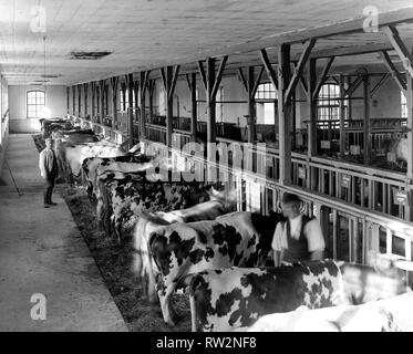 Finlandia - Storia - I. K. Inha: stalla, agricoltura finlandese, 1899. Foto Stock