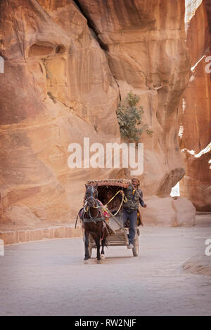 PETRA. Un cavallo di giordani e trasporto taxi driver e il suo passeggero femmina corsa attraverso le rocce da il Ministero del tesoro per l'area di uscita. Foto Stock