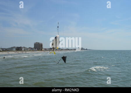 Il piccolo pesce agganciato la pesca su Cherry Grove Molo Pesca in Myrtle Beach, SC Foto Stock