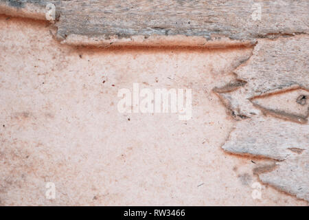 Background e texture della vecchia parete in legno. Vecchie tavole di legno compensato e decomporsi strappata, vide la superficie interna con copia spazio per immissione di testo Foto Stock