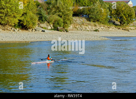 Sculling sul fiume Danubio vicino alla città di Vac a nord di Budapest, Ungheria Foto Stock