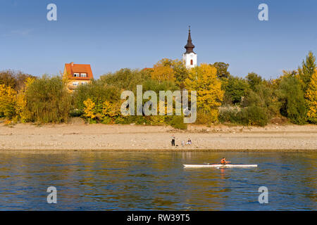 Sculling sul fiume Danubio vicino alla città di Vac a nord di Budapest, Ungheria Foto Stock