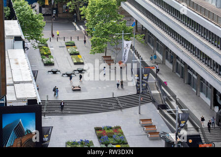 Guardando verso il basso sulla molla di temporanea aiuole di fiori e a destra la Reserve Bank of Australia edificio, nella parte superiore dell'estremità orientale di Martin Place, Sydney Foto Stock