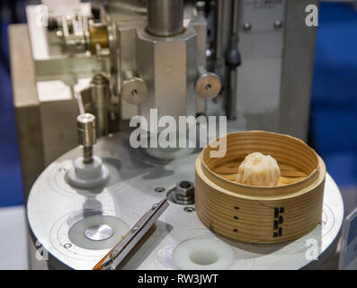 La trasformazione dei prodotti alimentari macchina per gnocchi e dim sum Foto Stock