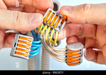 Installazione di superficie montata la scatola di giunzione, elettricista  utilizza la spelafili per rimuovere di isolamento dalla punta di ciascuno  dei fili Foto stock - Alamy