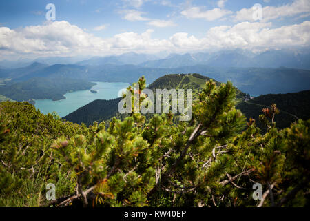 Il sentiero tour a Herzogstand montagna con vista panoramica; Baviera, Germania Foto Stock
