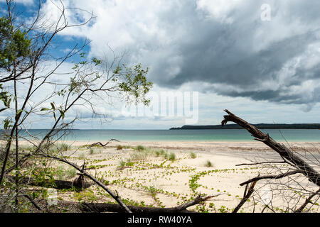 Isola di Fraser, Queensland, Australia Foto Stock