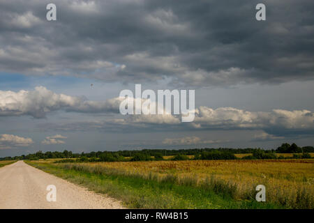 Paesaggio estivo con vuoto road, alberi e cielo blu.. Strada rurale, cornfield, legno e nuvoloso cielo blu. Classico paesaggio rurale in Lettonia. Foto Stock