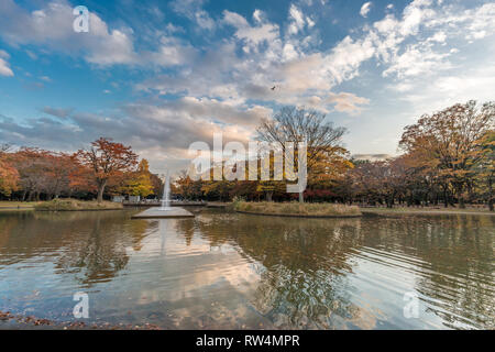 Momiji (acero) colori autunnali, fontana, stagno e caduta delle foglie tramonto a Yoyogi Park in Shibuya, Tokyo, Giappone Foto Stock