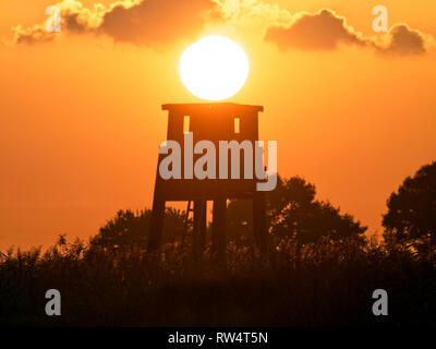 Tramonto dietro a nascondere nel Elbmarsch vicino Barum, Germania. Foto Stock