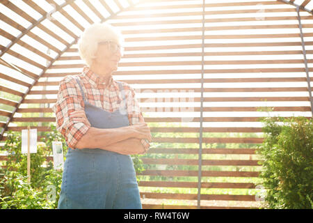 Giardiniere Senior in presenza di luce solare Foto Stock