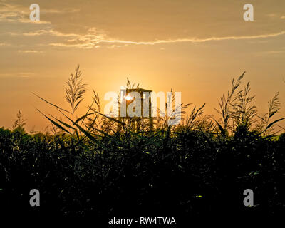 Tramonto dietro a nascondere nel Elbmarsch vicino Barum, Germania. Foto Stock