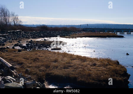 Spiaggia di Mud Bay Park a Surrey, British Columbia, Canada Foto Stock