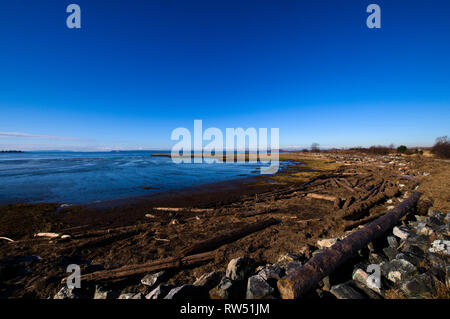 Spiaggia di Mud Bay Park a Surrey, British Columbia, Canada Foto Stock