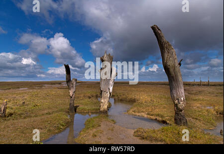 Il grazioso villaggio costiero di Thornham Staithe vicino a Hunstanton in Norfolk Foto Stock