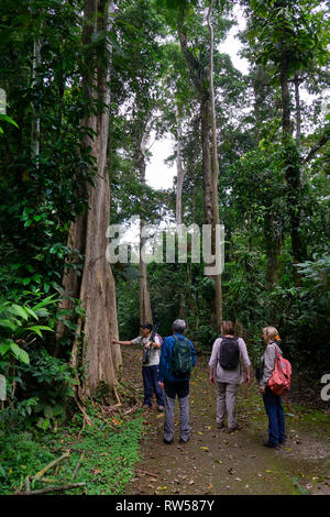 I turisti con guida a La Seva Stazione Biologica,foresta pluviale tropicale,Sarapiqui,Costa Rica,l'America centrale Foto Stock