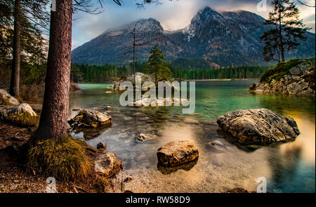 In un momento di relax a mystic lago di montagna con albero su roccia mentre il tramonto. Hintersee, Ramsau, Baviera Germania Foto Stock
